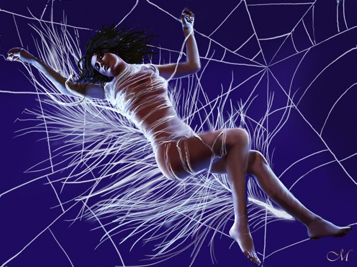 inthespiderswebofdream.jpg